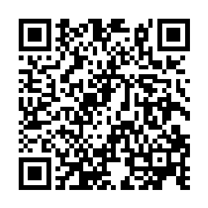 东方琥珀愤怒的一边捂着自己的鼻子一边看着天道二维码生成