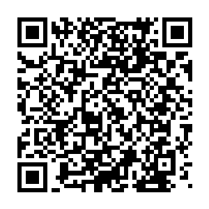 东方神国的通天还是万妖之国的鲲鹏……嘿嘿……当时谁不想一亲芳泽二维码生成