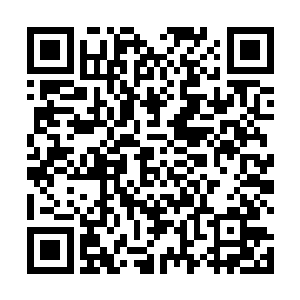 东方魁与东方夏雨父女两倒是觉得张智的话没什么不妥二维码生成