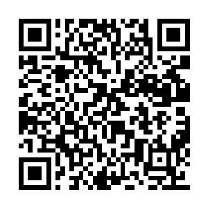 东泽现在眼里心里都只有前面那扇关回去的房门二维码生成