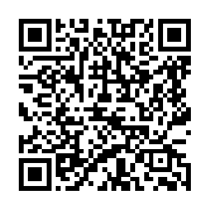 东海联军毫无疑问也是会将首要目标对准了大年神进行追杀二维码生成