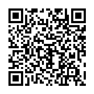 东润当下则是和派出和剩下的道途组件了一个新的近卫军二维码生成