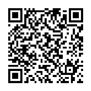 东王村的王洪财害怕自己的桑园被别人偷偷的铲除了二维码生成