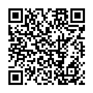 东皇主宰一听有神王能够击败鸿轩神皇自然好奇心大增二维码生成