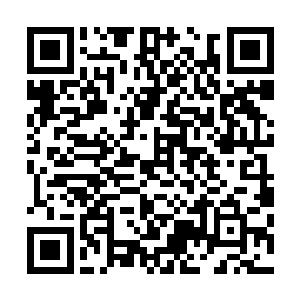 东皇主宰只是听无缘神皇说有个很了不起的神王让自己见见二维码生成
