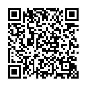 东皇天龙一族可能投靠天魔一族让东皇主宰心情有些不好二维码生成