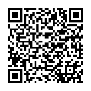 东秦这个名字早就在龙渊的历史上永远被抹去了二维码生成