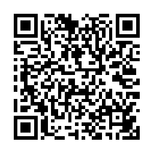 东部九大宗门带着无数的中小型宗门来到了望仙城二维码生成