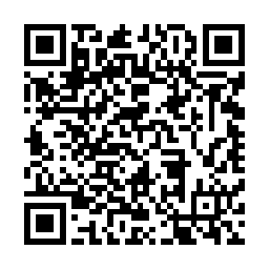 东陇元尊和沈凡以及其他某几个人都是修炼至刚至阳的功法二维码生成