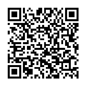 东黎墨也不在乎这个秋意瑟是不是真的收下了这个礼物二维码生成