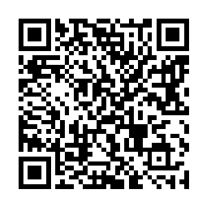 东黎墨也知道了自己的这个小丫头又不按常理出牌了二维码生成