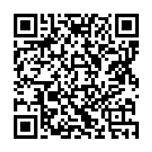 东黎墨和白芷璃两个人肯定此时现在就在死亡森林的附近二维码生成