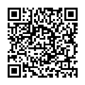 东黎墨是知道白芷璃肯定是看了这一次的公告来了二维码生成