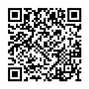 丝丝缕缕与血海交融在一起的气息被剥离了出来二维码生成
