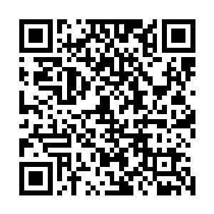 丝毫不因为对方是一指秒杀六星圣级巅峰的强者而感到畏惧二维码生成