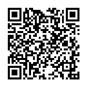 丝毫不在意比尔到底开了多少枪了……相比秦方在移动二维码生成