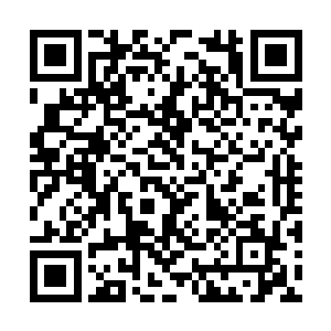 丝毫不嫌弃地上的那些浆煤砖黑不溜丢的会弄脏手二维码生成