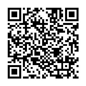 丝毫不比他们当年那些撑起飞龙部落的半边天的老伙伴们差二维码生成