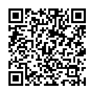 丝毫不虚地与顶着一堆小兵输出的瞎子对拼了起来二维码生成