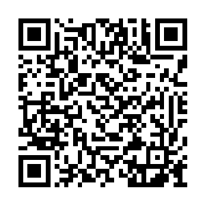 丝毫不费力气的就把飞达身上的衣服全给切开了二维码生成