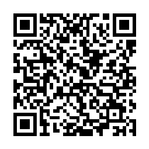 丝毫停留之意都没有的便避开了那傀儡兽拦着的方向二维码生成