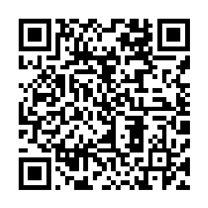 丝毫没有先前因为龙羽得知了学校领导时所展现出来的冷漠二维码生成