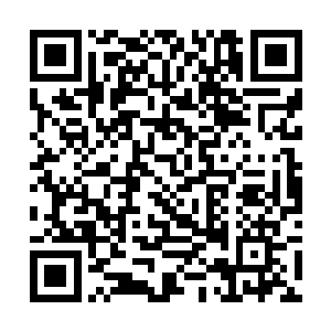 丝毫没有感觉到眼前这个自己抓着的男人有多么危险二维码生成