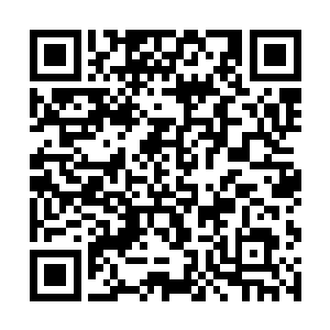 丝毫没有畏惧地看着睿哲界主和隐藏在空间里的大神二维码生成