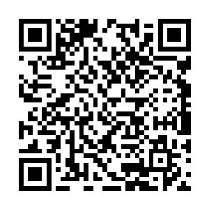 丝毫看不出他们都是恨不得将对方碎尸万段的敌人二维码生成