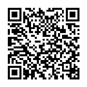 丝毫看不出这是不久前灭杀了五位仙王强者的恐怖存在二维码生成