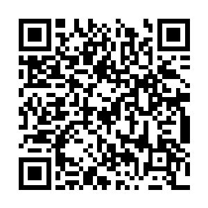 丢垃圾一样丢到小刘送货来留下的泡沫箱子里拉倒二维码生成