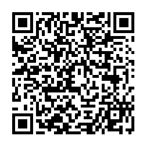 丢掉了手上的金钱剑从腰间抽出了一柄软剑搭在了那早已紧绷欲断的长绳上二维码生成
