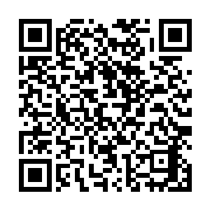 两三斤冬笋都是他好不容易一锄头一锄头辛苦挖出来的二维码生成