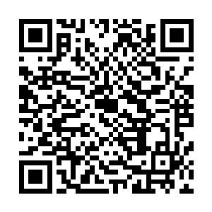 两个一模一样的干瘦老人降落到那些妖蛮半圣化身的不远处二维码生成
