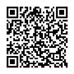 两个专业的消防员都搞不清楚李思辰是在做什么二维码生成