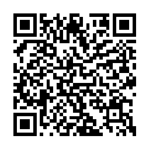 两个五六岁的小孩靠着墙根正怯生生的看着自己二维码生成