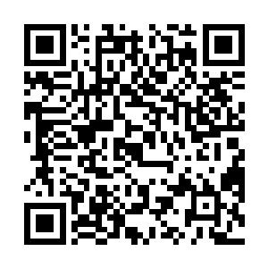 两个人一个自称是加拿大瑞克公司华国分公司执行总裁二维码生成
