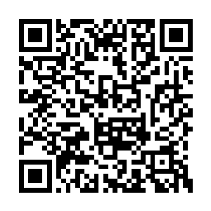 两个人中其中的一个身穿金sè长袍的男子开口道二维码生成