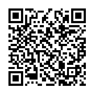 两个人也大概知道了张小凡不是自己能招惹的起的二维码生成