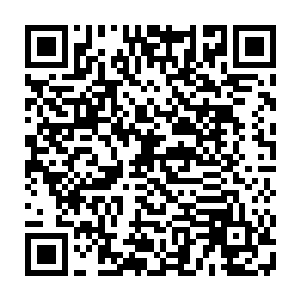 两个人仅仅是把丹尘子当作了一个刚刚晋级没有多久的顶级神中期的强者二维码生成