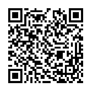 两个人从离开雅园以后就像是提线木偶一样木着脸二维码生成