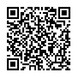 两个人似乎都没有兴致欣赏这间茶餐厅包厢里别致素雅的装潢二维码生成