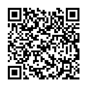 两个人其实都想问问许紫烟究竟是怎样安全返回的二维码生成