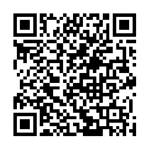 两个人周围已经被十多个虎视眈眈的黑甲军的骑士围住了二维码生成