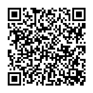 两个人在无比怪异的气氛当中对第一期灵武期刊的内容进行了最后的调整二维码生成