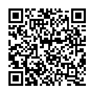 两个人在水沟内注视着这群雇佣兵团和女支女的二维码生成