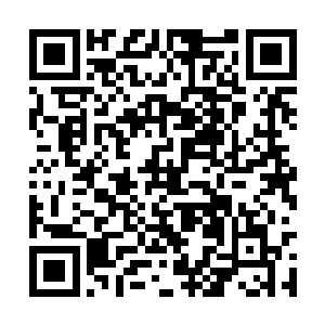 两个人就是这么溜溜达达的走在了农场这边的甬道二维码生成