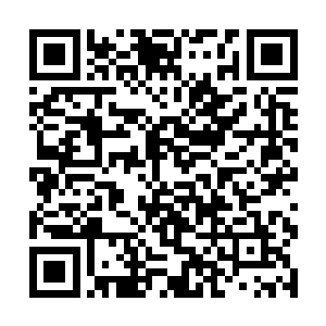 两个人现在的实力几乎可以说是神王之下无敌的存在二维码生成