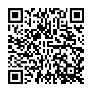 两个人的实力比起之前的时候绝对有了恐怖的翻天覆地的变化二维码生成