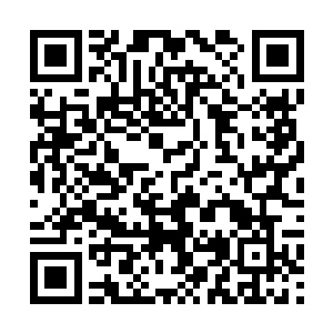 两个人的眼神来回地交流了几次o最终两个人轻轻地点了点头二维码生成